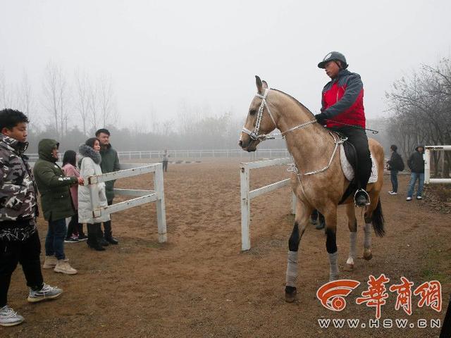 一匹汗血宝马多少钱，汗血宝马多少钱一匹2022（价值千万目前国内只有约500匹）