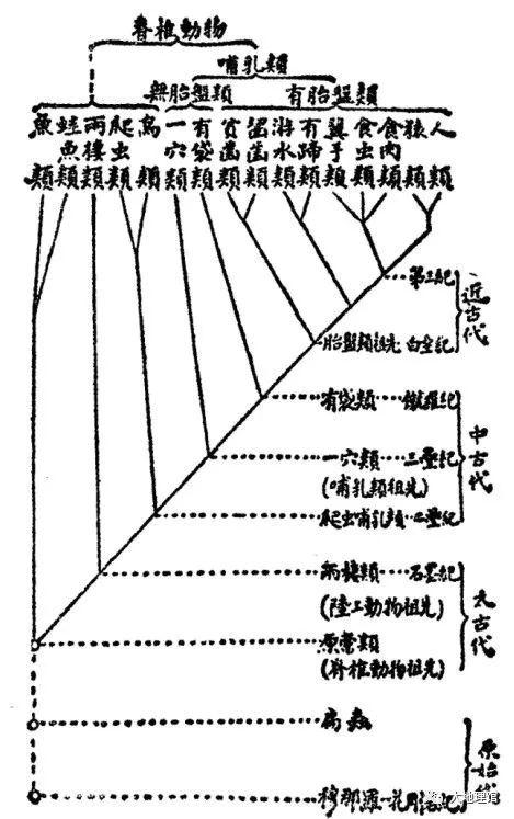 鲁迅历史贡献简短，一位被文学耽误的地理学家