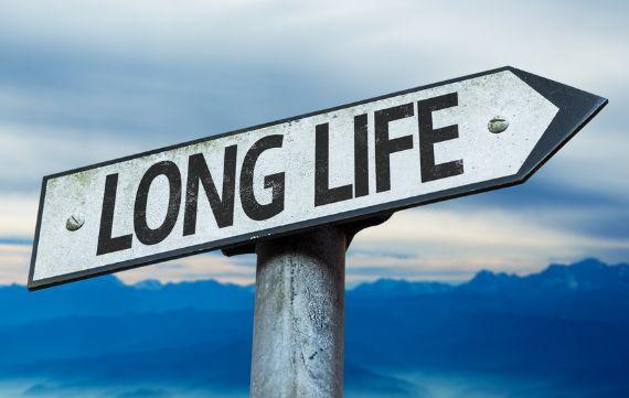 大象寿命有多长，大象寿命有多长（大象活到70岁不患癌）