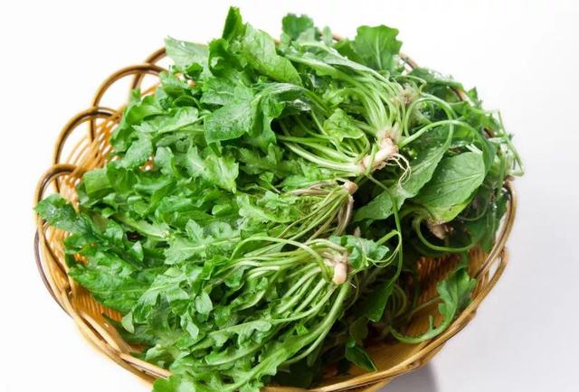 车辙子功效与作用子怎么吃，车前子的功效与作用吃法（春天丨永安的春天最美的）