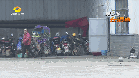 槟榔涂的白色是什么，槟榔里面白色（临过期槟榔秒变“新鲜货”）