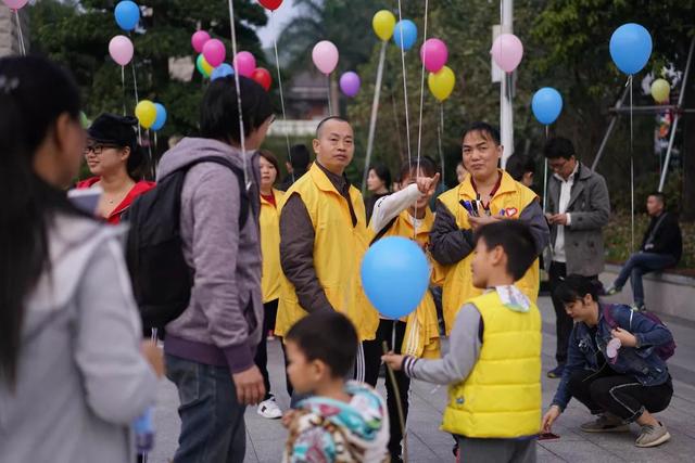 如何批量灭蝇，怎么能快速灭苍蝇（东凤市民：12月10日起）