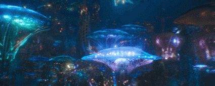 转发锦鲤真的可以给人带来好运吗，转发锦鲤朋友圈怎么说（转发这个海王所有锦鲤听你的是真的吗）