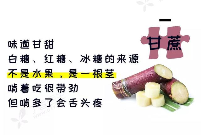 冬季水果有哪些，夏季水果有哪些图片大全（冬天最好吃的十种水果）