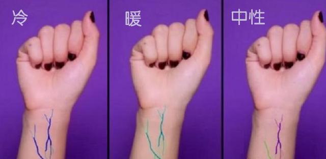 什么颜色加什么颜色等于肉色，油漆24种颜色调配大全（冷暖皮应该穿什么色）