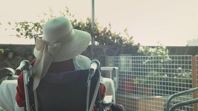 龙应台的作品有哪些，龙应台的书有哪些的书（龙应台辞官照顾失忆母亲）