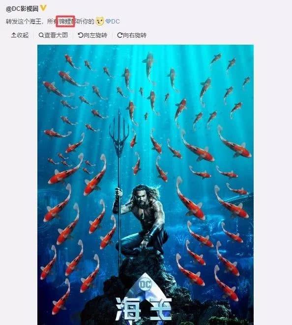 转发锦鲤真的可以给人带来好运吗，转发锦鲤朋友圈怎么说（转发这个海王所有锦鲤听你的是真的吗）