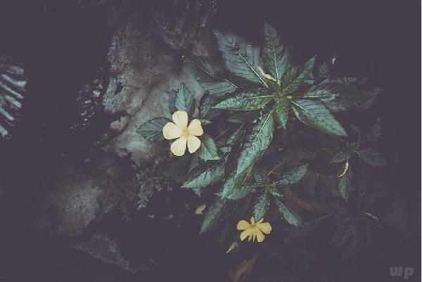 青春路上句子，青春在路上的句子（关于青春唯美的句子）