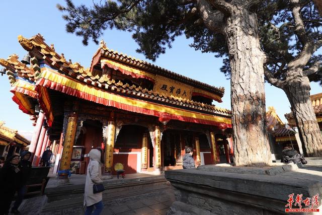 五台山属于哪个省哪个市，五台山在哪个省哪个市（全国网媒看山西首站）