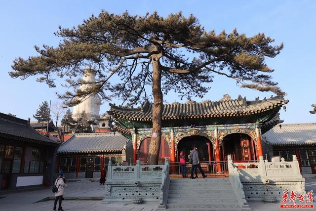 五台山属于哪个省哪个市，五台山在哪个省哪个市（全国网媒看山西首站）