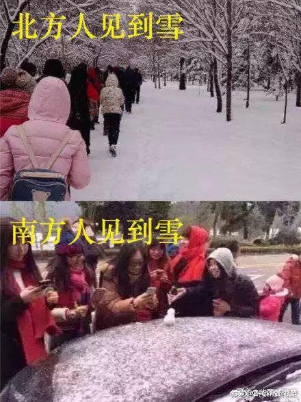 南方人是指哪里人，南方人和北方人是指哪里人（北方人南方人谁更抗冻）