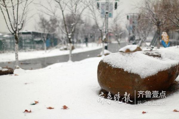 胶州十大湿地，胶州少海湿地公园美爆了