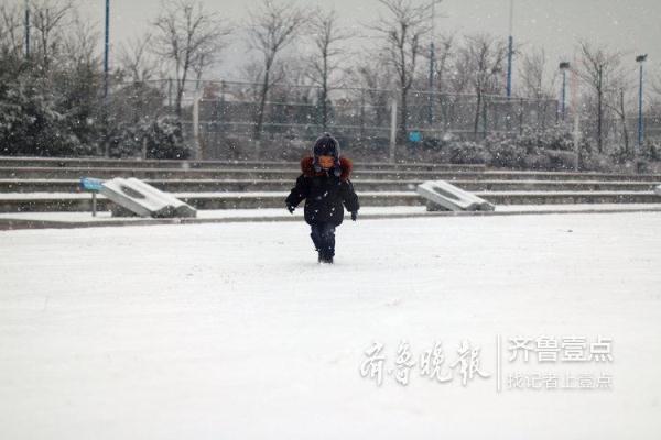 胶州十大湿地，胶州少海湿地公园美爆了