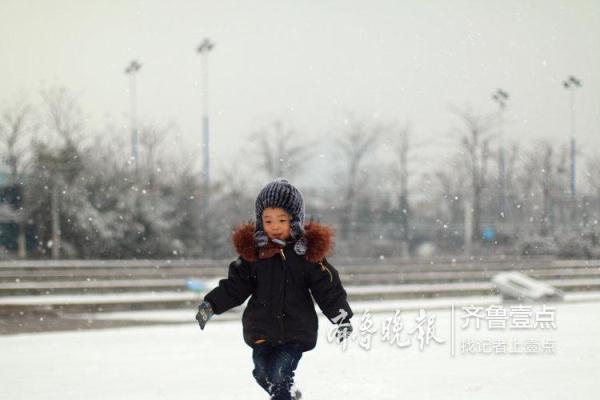 胶州十大湿地，胶州少海湿地公园美爆了