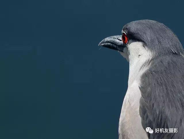 三分构图法照片，什么是三分构图法（让照片更漂亮的三分构图法）