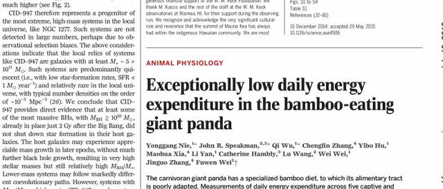 大熊猫吃什么食物，熊猫主要吃什么食物（大熊猫为啥走上了卖萌啃竹子的不归路）