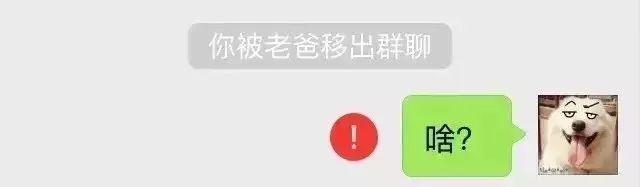 微信怎么把人移出群聊，微信群里如何把他人移出群聊（教你如何优雅地退出群聊）