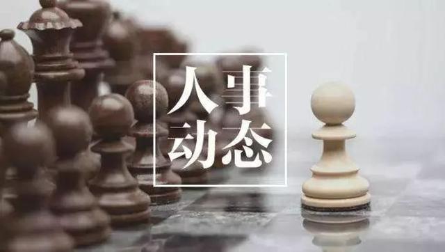 山东科技大学教务处，山东科技大学官网录取进度（山东科技大学迎新校长）