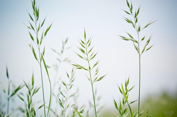 霸气的句子，霸气的句子超拽霸气女的短句子（让人膜拜的18句霸气说说）