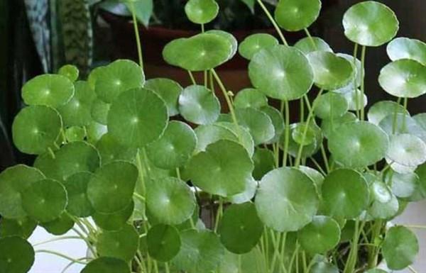 霸气的句子，霸气的句子超拽霸气女的短句子（让人膜拜的18句霸气说说）