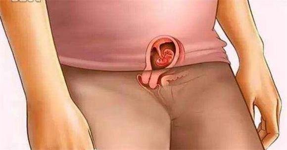 胎儿如何发育，胎儿如何发育视神经（胎儿到底怎么发育的）