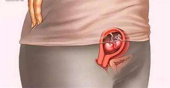 胎儿如何发育，胎儿如何发育视神经（胎儿到底怎么发育的）