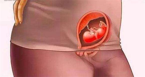 胎儿如何发育，胎儿如何发育视神经（胎儿到底怎么发育的）