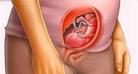 胎儿如何发育，胎儿如何发育视神经（胎儿到底怎么发育的）