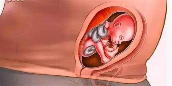 胎儿如何发育，胎儿如何发育视神经（胎儿到底怎么发育的）