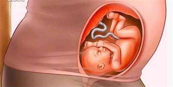 胎儿如何发育，胎儿如何发育视神经（胎儿到底怎么发育的）