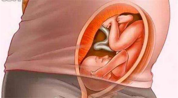 胎儿如何发育，胎儿如何发育视神经（胎儿到底怎么发育的）