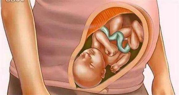 胎儿如何发育，胎儿如何发育视神经（胎儿到底怎么发育的）