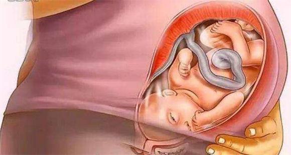 胎儿如何发育，胎儿如何发育视神经（胎儿到底怎么发育的）