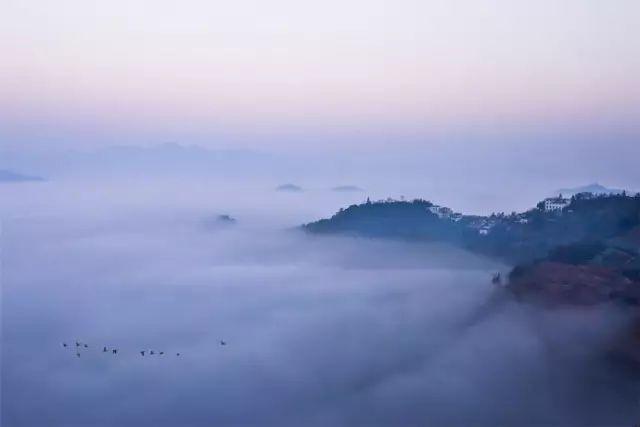 回乡偶书古诗带拼音，回乡偶书古诗带拼音衰是多音字吗（“悠然见南山”正确发音是……）