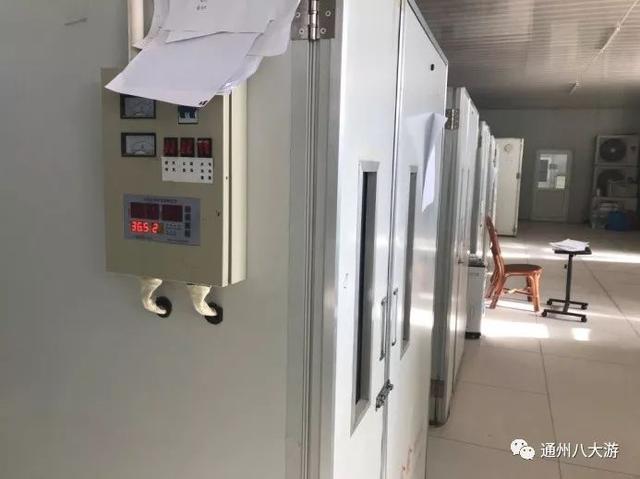 哪里有鸵鸟养殖基地，中国有哪些地方有鸵鸟养殖基地（京城独一份养鸵鸟大户的京磁养殖场）