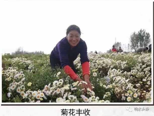 响水县很穷吗贴吧，江苏响水县穷不穷（这里是响水！）