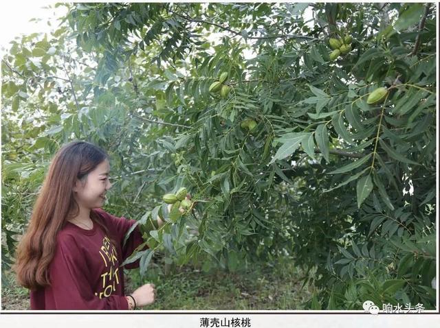 响水县很穷吗贴吧，江苏响水县穷不穷（这里是响水！）