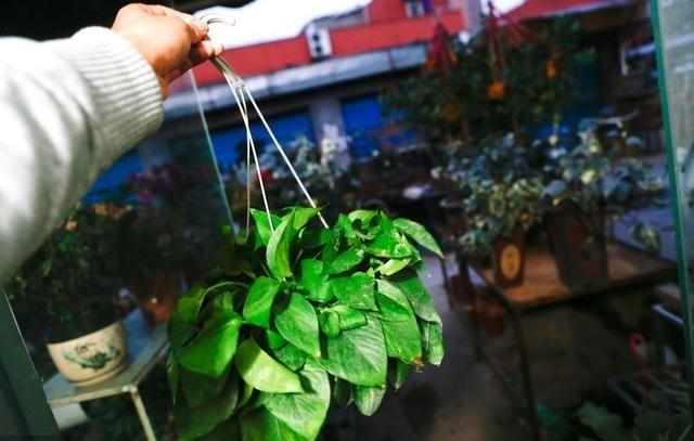 床垫甲醛多久可散发完，床垫上有甲醛的话要放多久才可以睡（藏在卧室里的4种东西）