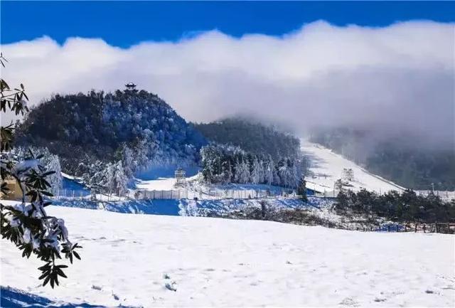 重庆冬至习俗，重庆冬至风俗（今日冬至，喝碗羊肉汤美滋滋）