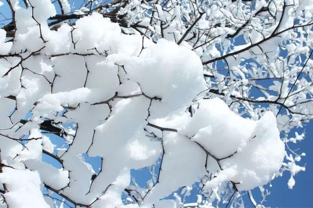 重庆冬至习俗，重庆冬至风俗（今日冬至，喝碗羊肉汤美滋滋）