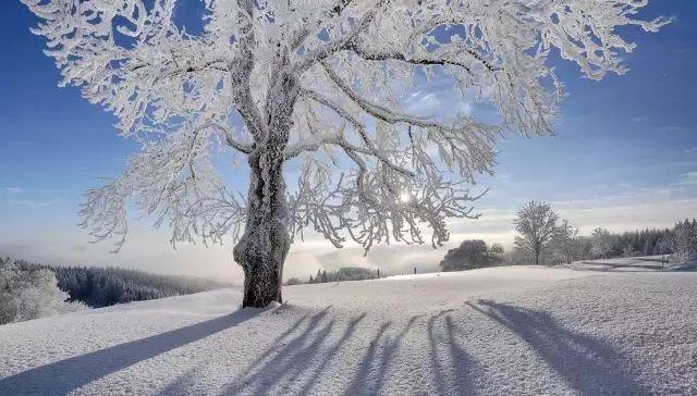 重庆冬至习俗，重庆冬至风俗（今日冬至，喝碗羊肉汤美滋滋）