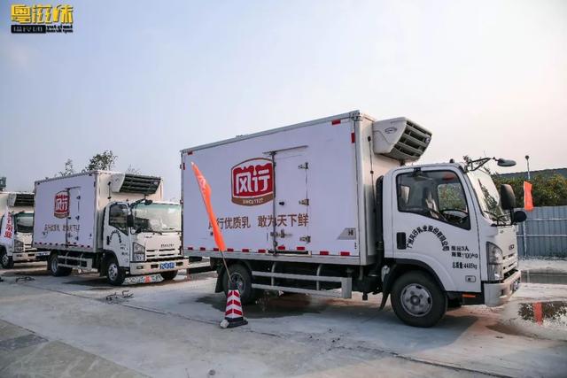 风行牛奶有什么口味，风行牛奶是哪里的品牌（老广们都爱的风行牛奶大变“新”）