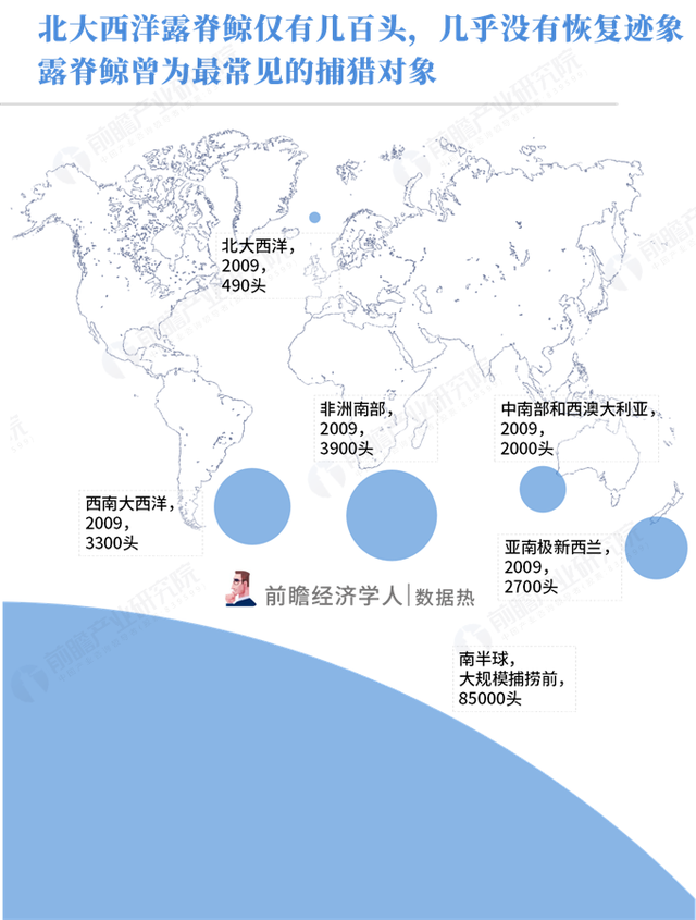 世界上现存的还有多少鲸鱼，鲸类数量正在复苏