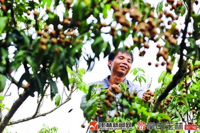 博白县属于哪个市，广西省玉林市博白县地名网（你真的了解博白吗？来了解一下）