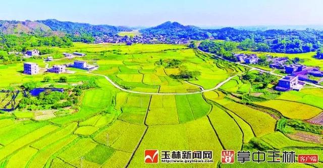 博白县属于哪个市，广西省玉林市博白县地名网（你真的了解博白吗？来了解一下）
