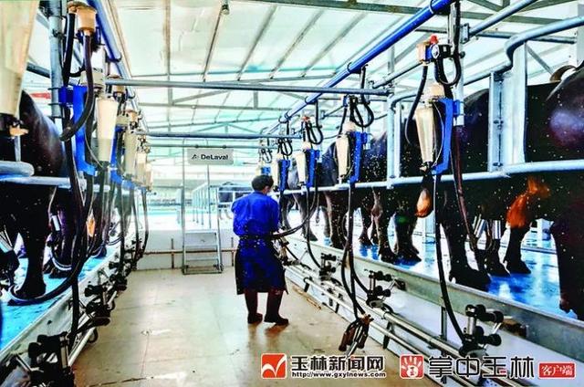 博白县属于哪个市，广西省玉林市博白县地名网（你真的了解博白吗？来了解一下）