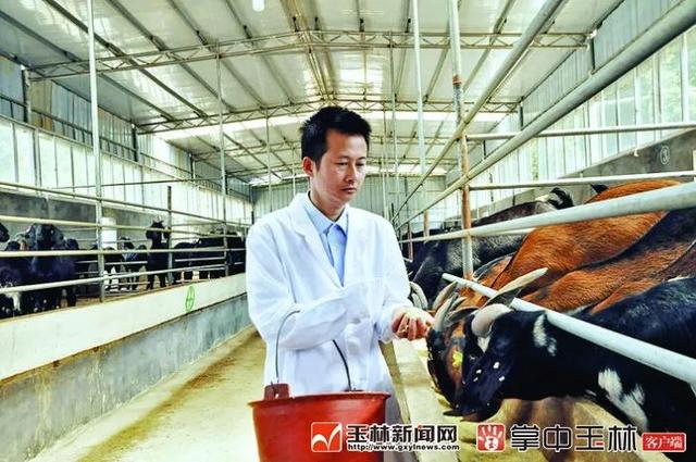 博白县属于哪个市，广西省玉林市博白县地名网（你真的了解博白吗？来了解一下）