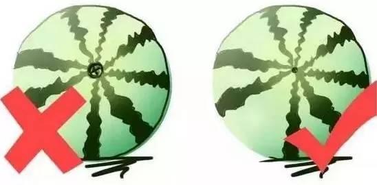 热性水果有哪些种类，热性水果一览表（最全水果手册，大家收藏吧~）