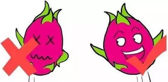 热性水果有哪些种类，热性水果一览表（最全水果手册，大家收藏吧~）