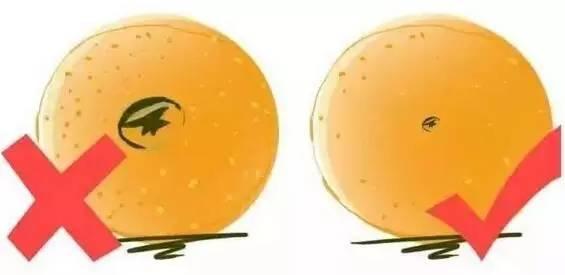 热性水果有哪些种类，热性水果一览表（最全水果手册，大家收藏吧~）